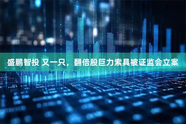盛鹏智投 又一只，翻倍股巨力索具被证监会立案